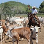 Strategic Framework for Workplace Success