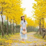 Regenerative Textile Technologies Create Sustainable Fashion Ecosystems