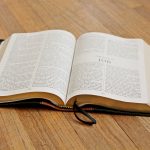 The Psychological Dynamics of Workplace Performance