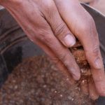 Professional Development: Strategies for Continuous Growth