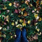 Climate-Adaptive Clothing Responds to Environmental Change