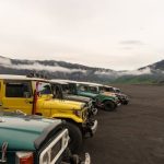 Adaptive Camouflage: Cars That Blend with Their Environment
