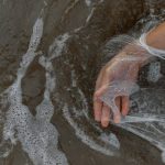 Environmental Law: Courts as Fundamental Guardians of Natural Resource Protection