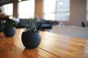 The Economic Future of Integrated Home Technologies
