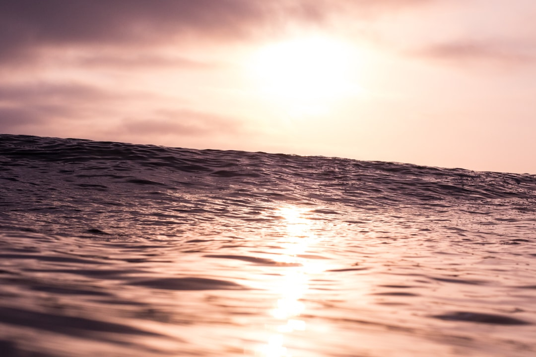 Quantum Sensor Networks: Wave Detection Ecosystems