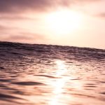 Quantum Sensor Networks: Wave Detection Ecosystems