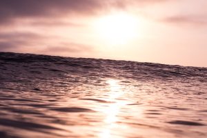 Quantum Sensor Networks: Wave Detection Ecosystems