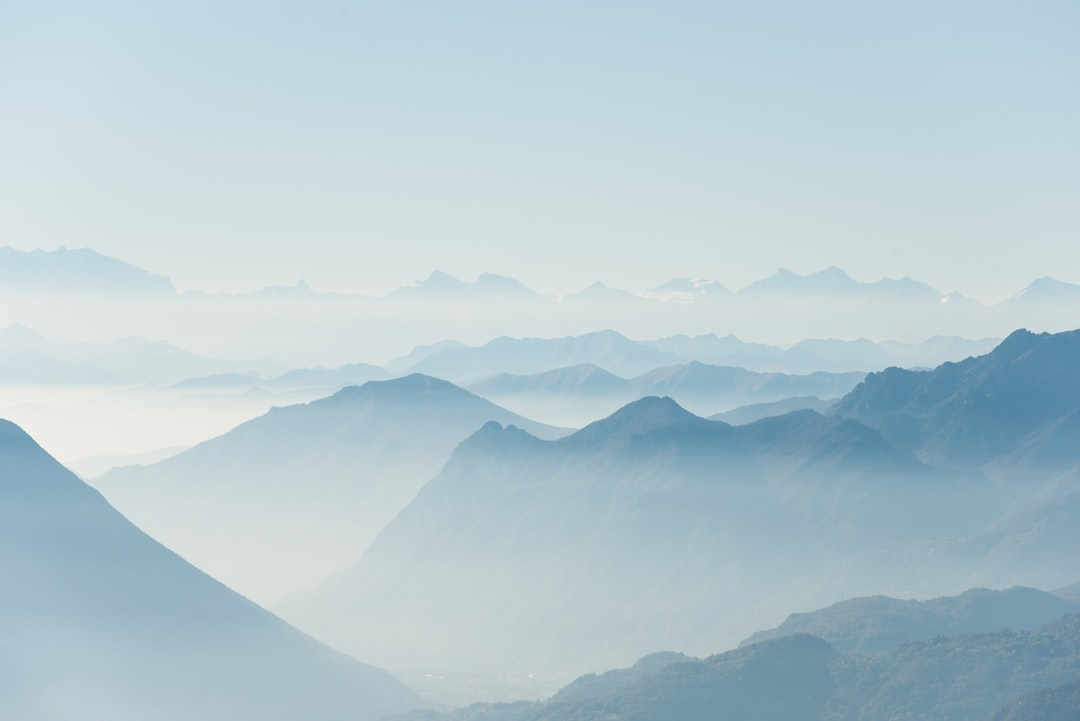 Biomimicry Adventures: Learning from Nature's Exploration Strategies