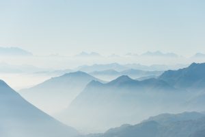 Biomimicry Adventures: Learning from Nature's Exploration Strategies