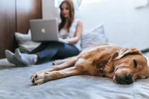 The Economic Impact of Intelligent Home Technologies