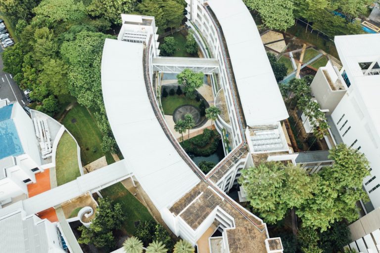 Neuroscience Insights Transforming Modern Educational Understanding