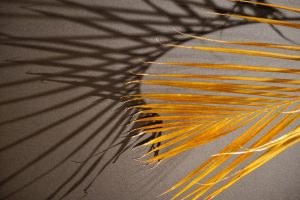 Philosophical Migrations: Understanding Humanity Through Movement