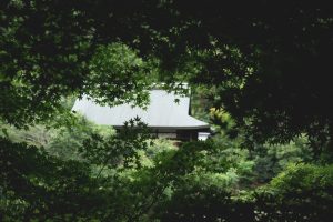The Hidden Potential of Advanced Service Technologies