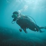 Cultural Deep Dive: Understanding Humanity Through Movement
