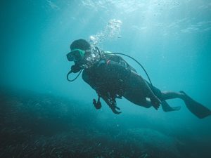 Cultural Deep Dive: Understanding Humanity Through Movement