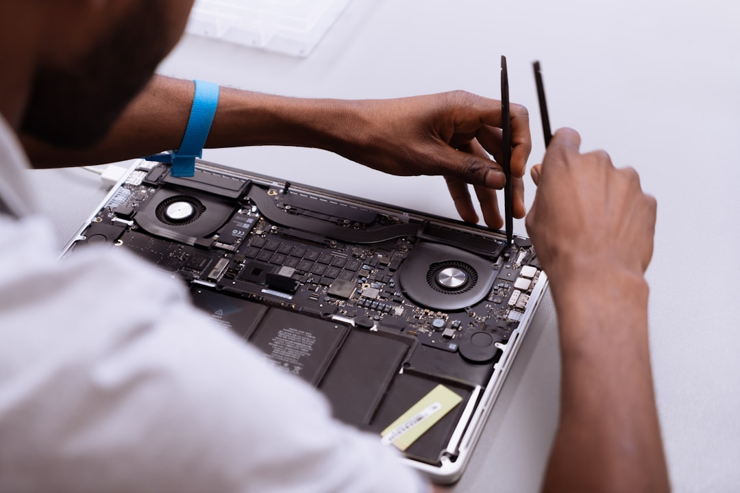 Technological Revolutions in Domestic Service Industries