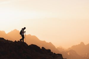 Neuroscience of Global Movement: Understanding Human Exploration