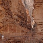 The Anthropology of Movement: Human Migration as Exploration
