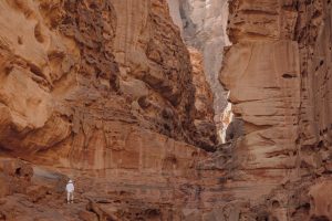 The Anthropology of Movement: Human Migration as Exploration
