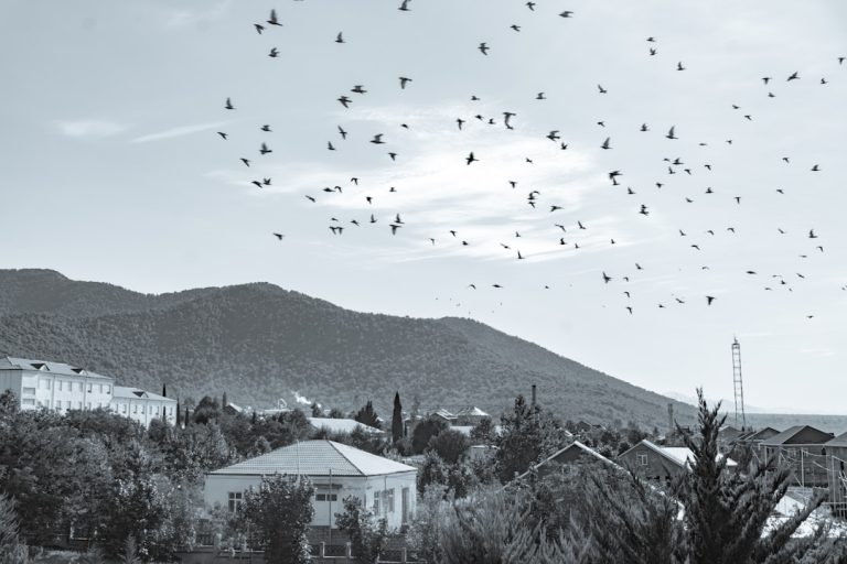 Technological Disruptions in Residential Service Industries